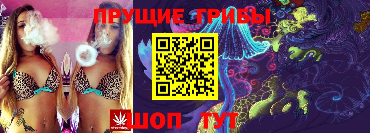 Псилоцибиновые грибы Psilocybe  Вход с VPN  Лесной  Галлюциногенные грибы Cubensis 