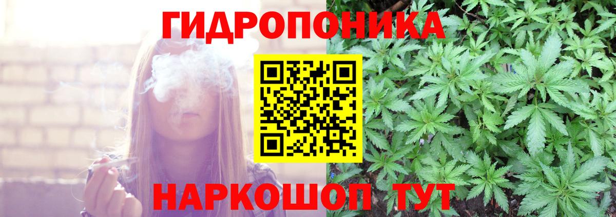 Лесной  МАРИХУАНА индика  Вход с VPN  Конопля гибрид  Конопля Amnesia 